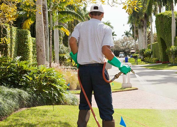 About Rathdrum ID Pest Control Pros